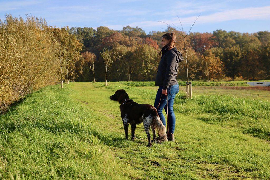 Lenie Martens- Calphanis