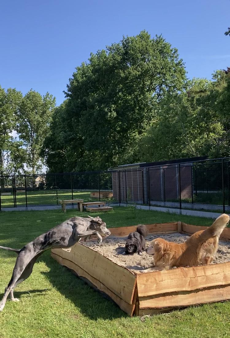 Reserveer Zwarte hondentuin