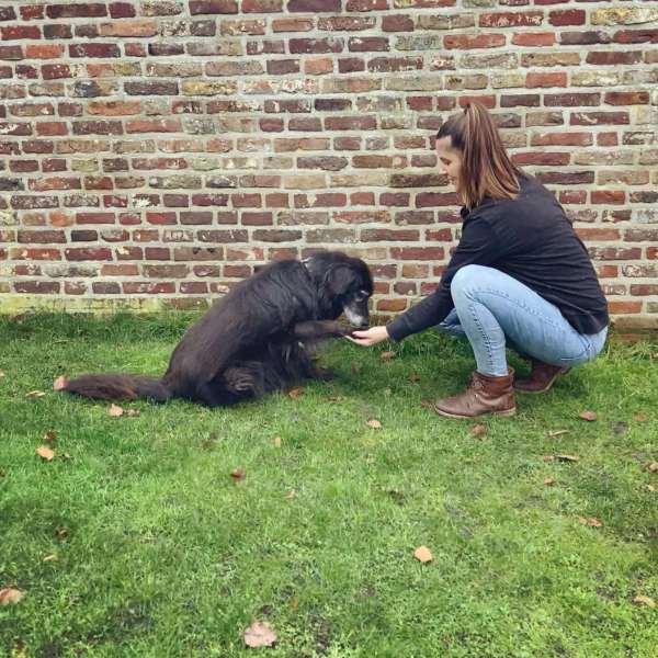 10C3B9D6-AC8E-4888-BC2C-FAEF3CE2A0E0