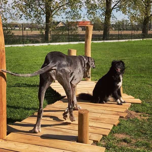 41bdad90-c681-4e38-bdd7-8586332b9212