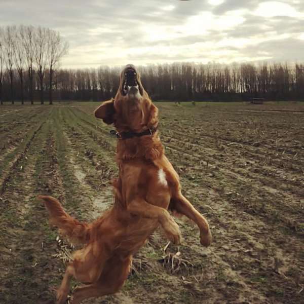 49C99676-A75F-49C2-9E0C-921BF79DECC1