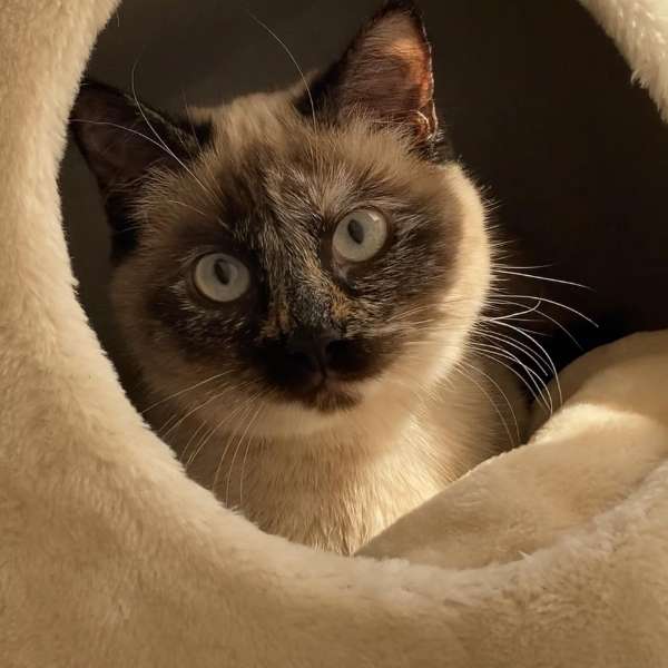 96E555E9-945B-48FB-8903-E95AD27A9A5B