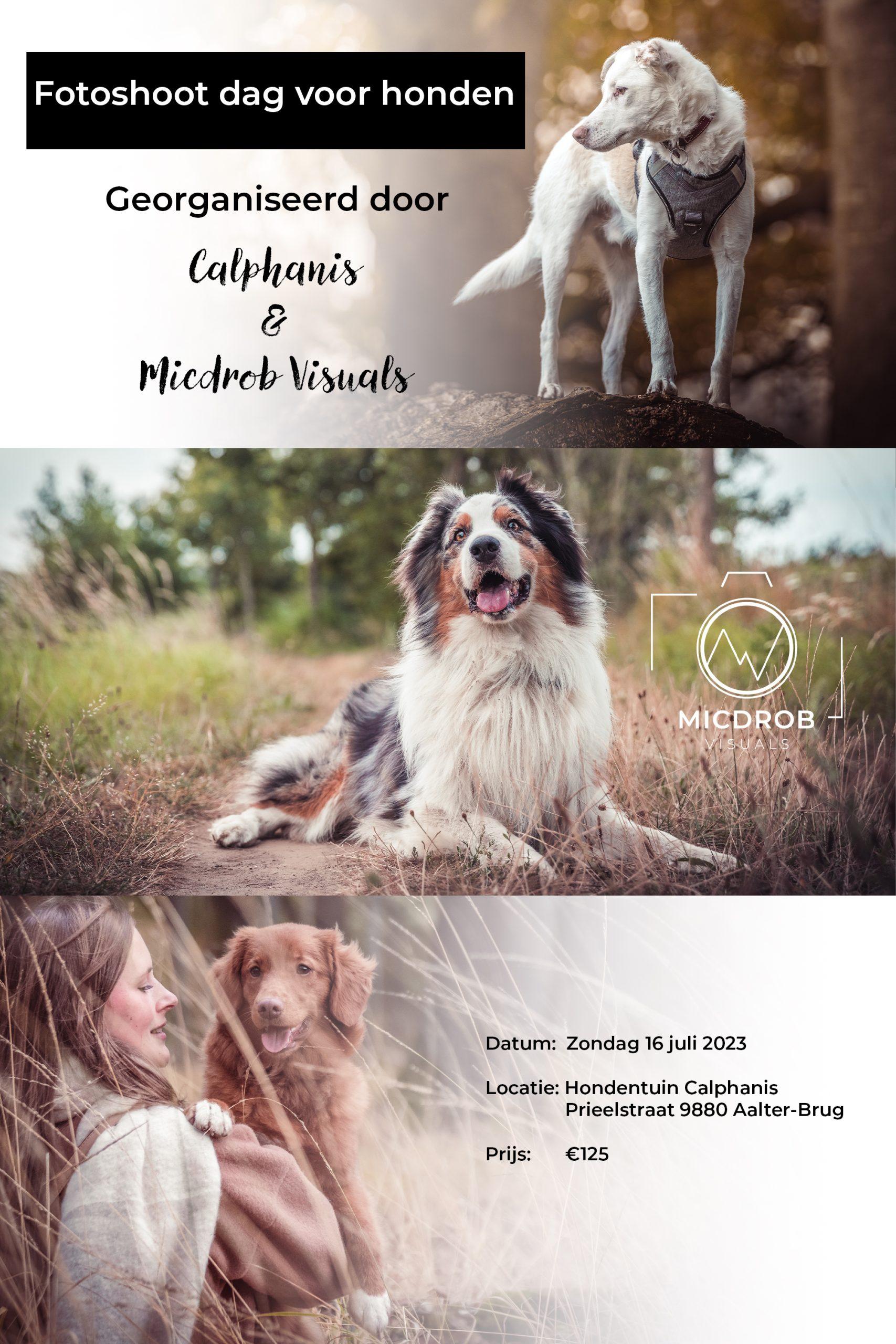 Fotoshoot 16 juli 2023