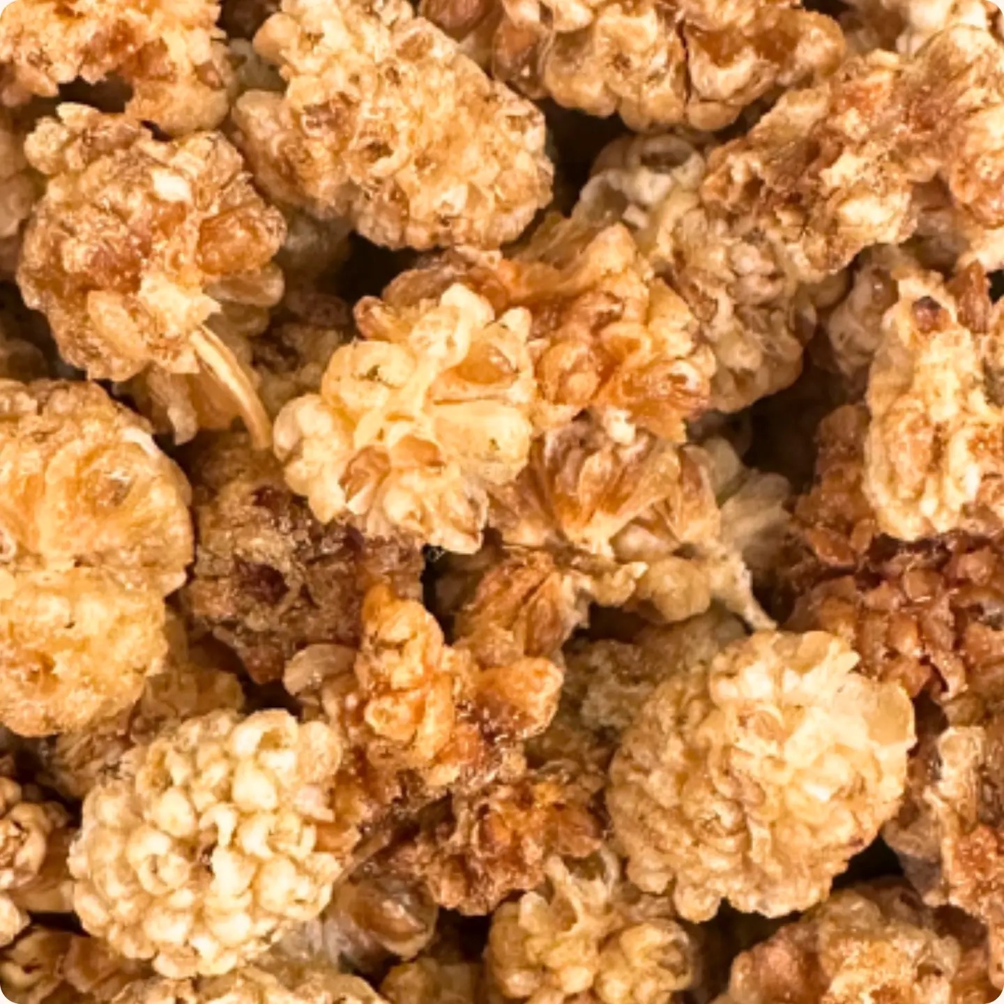 Gevriesdroogde Moerbeien - Afbeelding 2