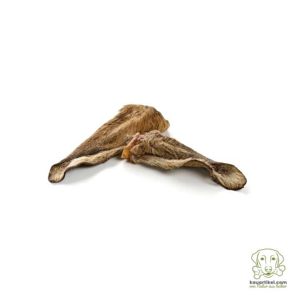 Hertenoren met vacht // Kauartikul