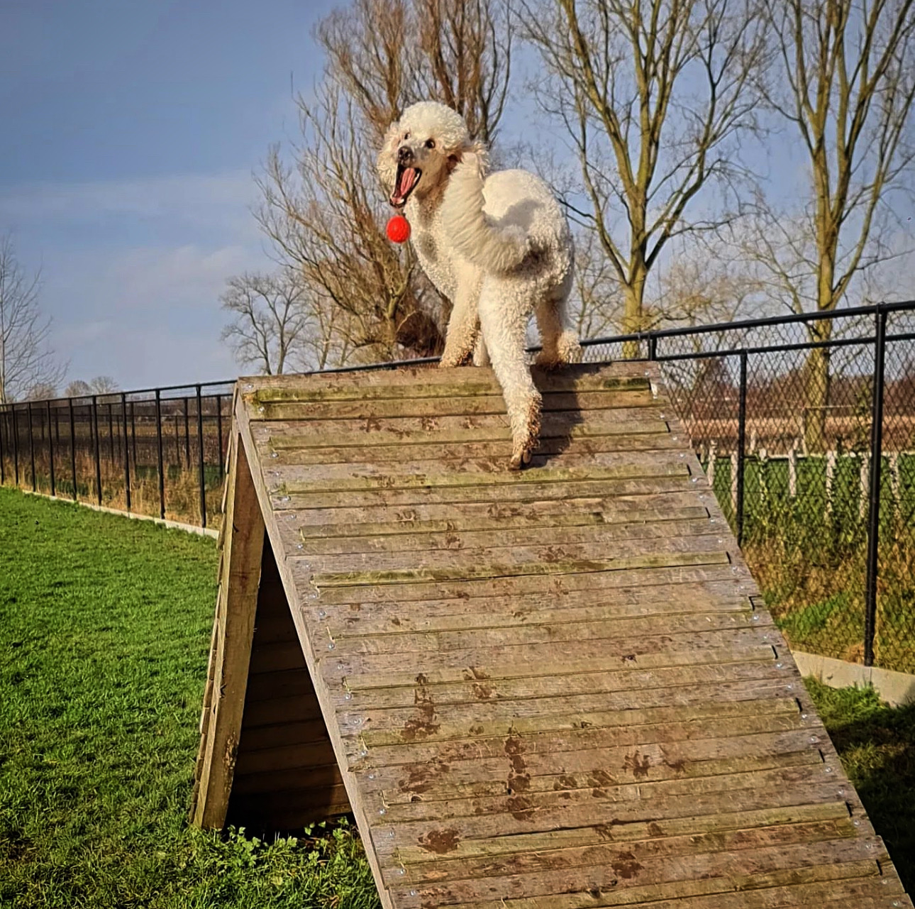 Jaar abonnement - wekelijks bezoek