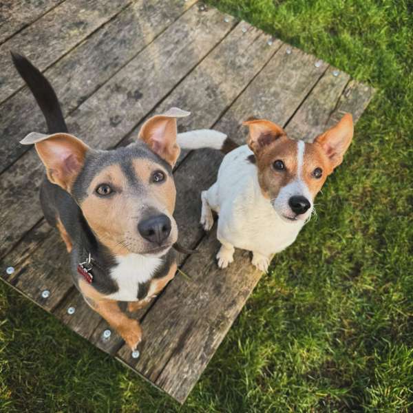 Half jaar abonnement - wekelijks bezoek
