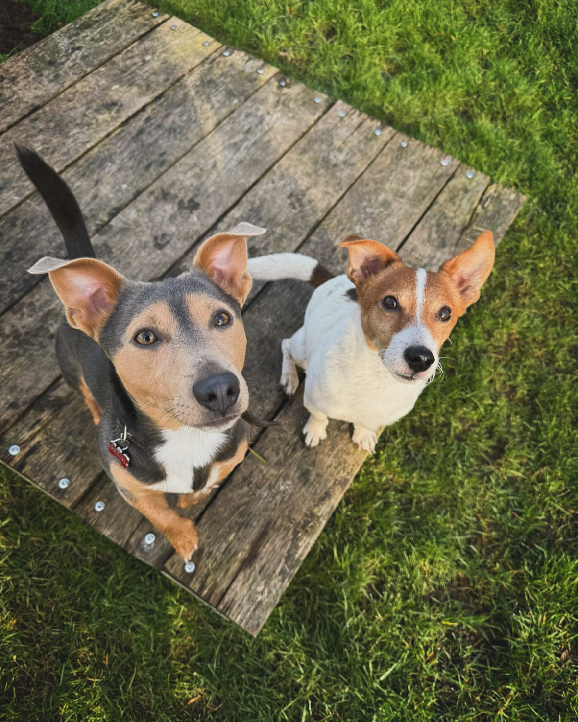 Half jaar abonnement - wekelijks bezoek