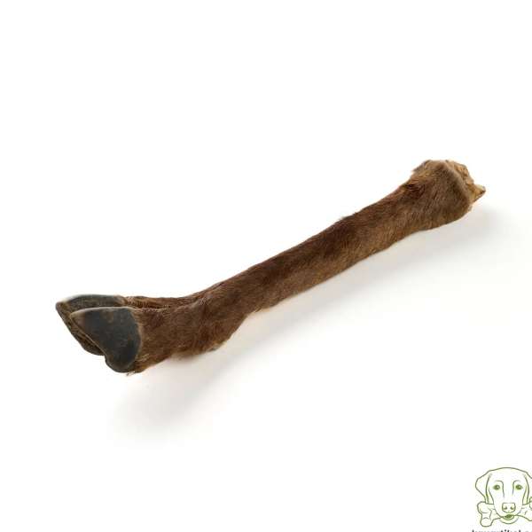 Herten onderbeen met vacht